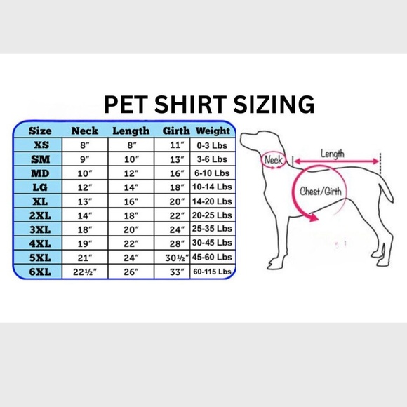 🦴Pet🦴 Blue Blank Tee Size S - Picture 2 of 2